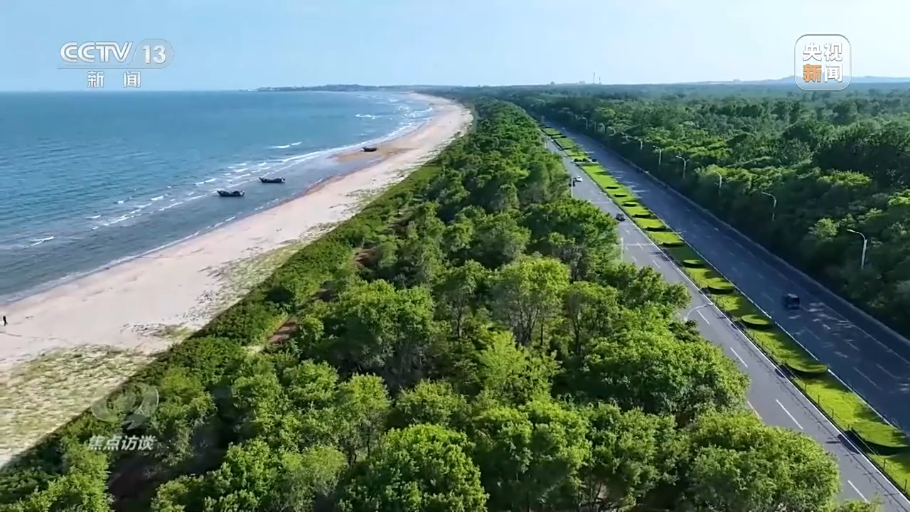 焦点访谈丨这个夏天 外国游客沉浸式体验“中国酷”