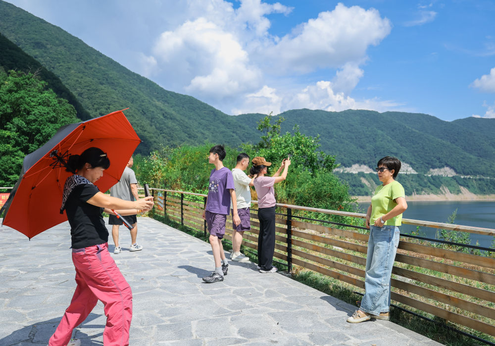 数览中国脉动｜今年暑期，你“奔县”了吗？
