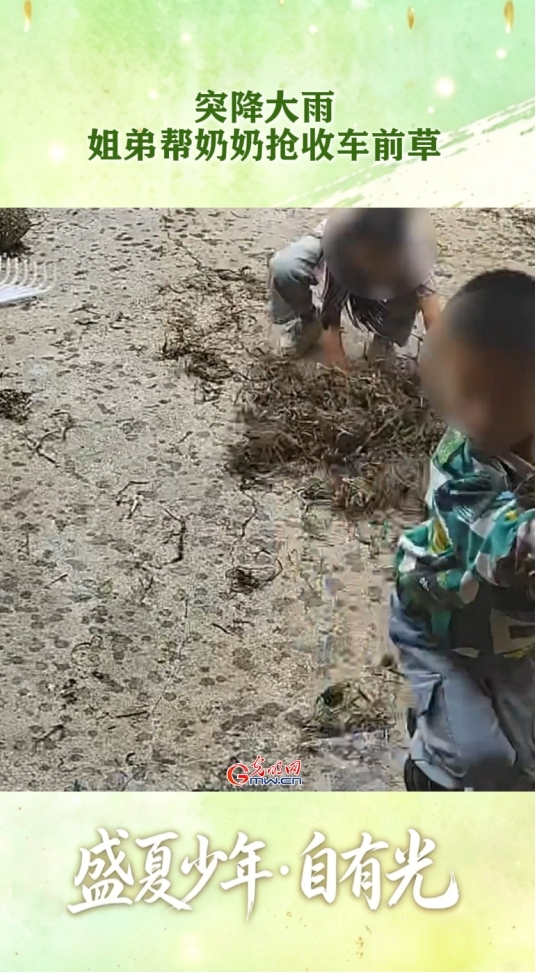 @同学们，奔赴新学期｜那些细碎温暖的瞬间，拼凑出盛夏少年的模样