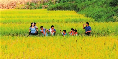 落松地,不落的光 落松地,不落的光