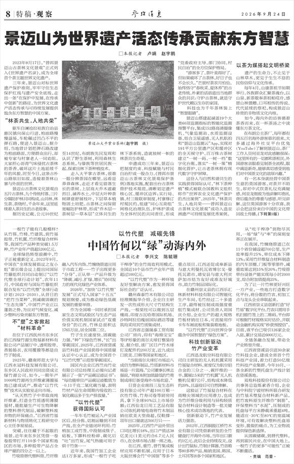 参考消息特稿|中国竹何以“绿”动海内外