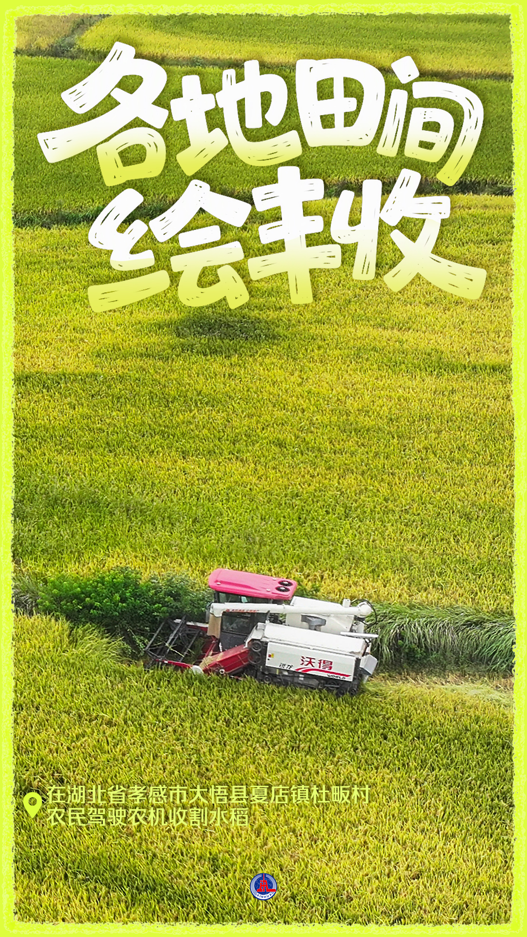 粮满田畴 耕耘未来——礼赞“十五五”开局丰收图景