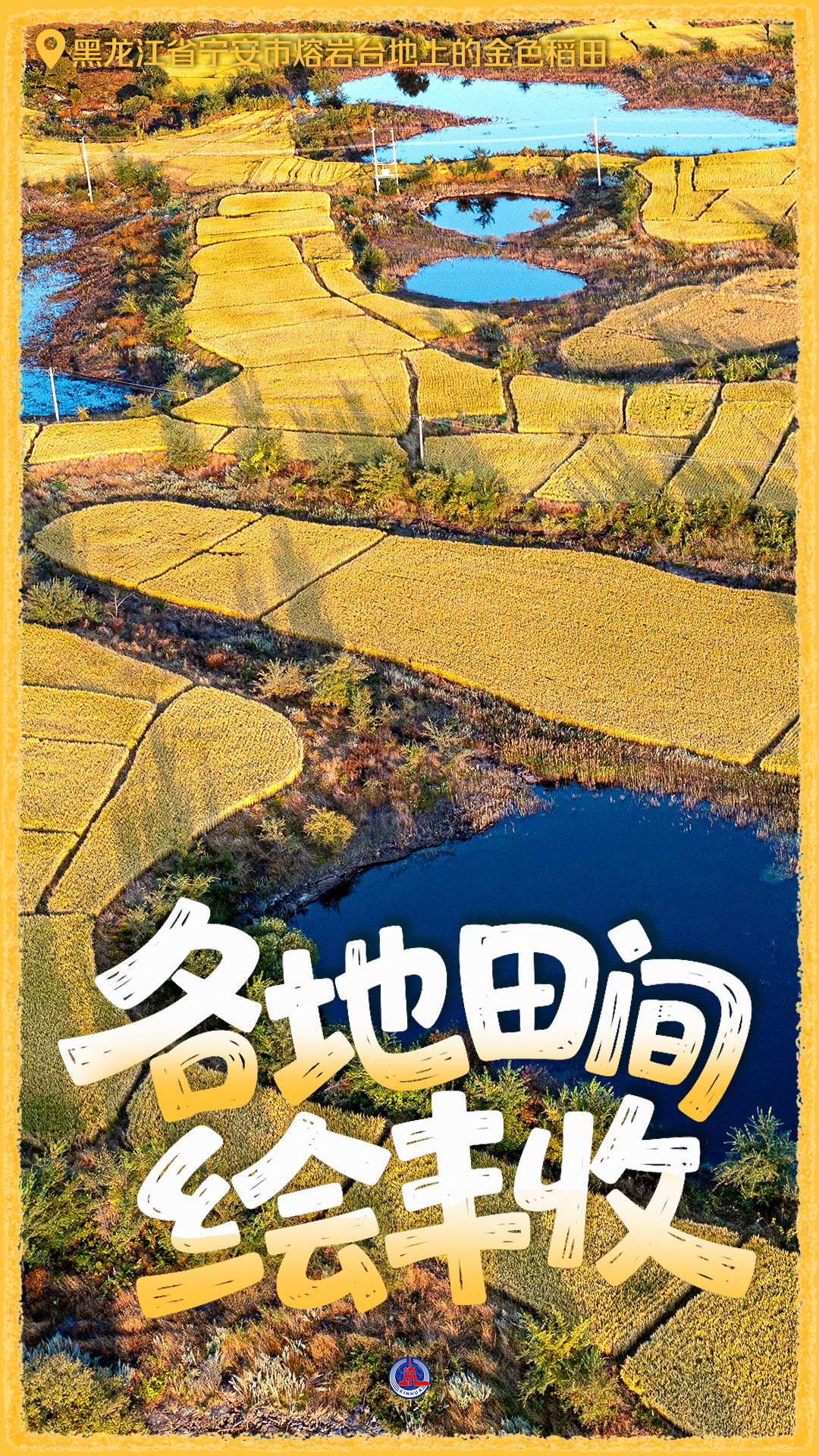 粮满田畴 耕耘未来——礼赞“十五五”开局丰收图景