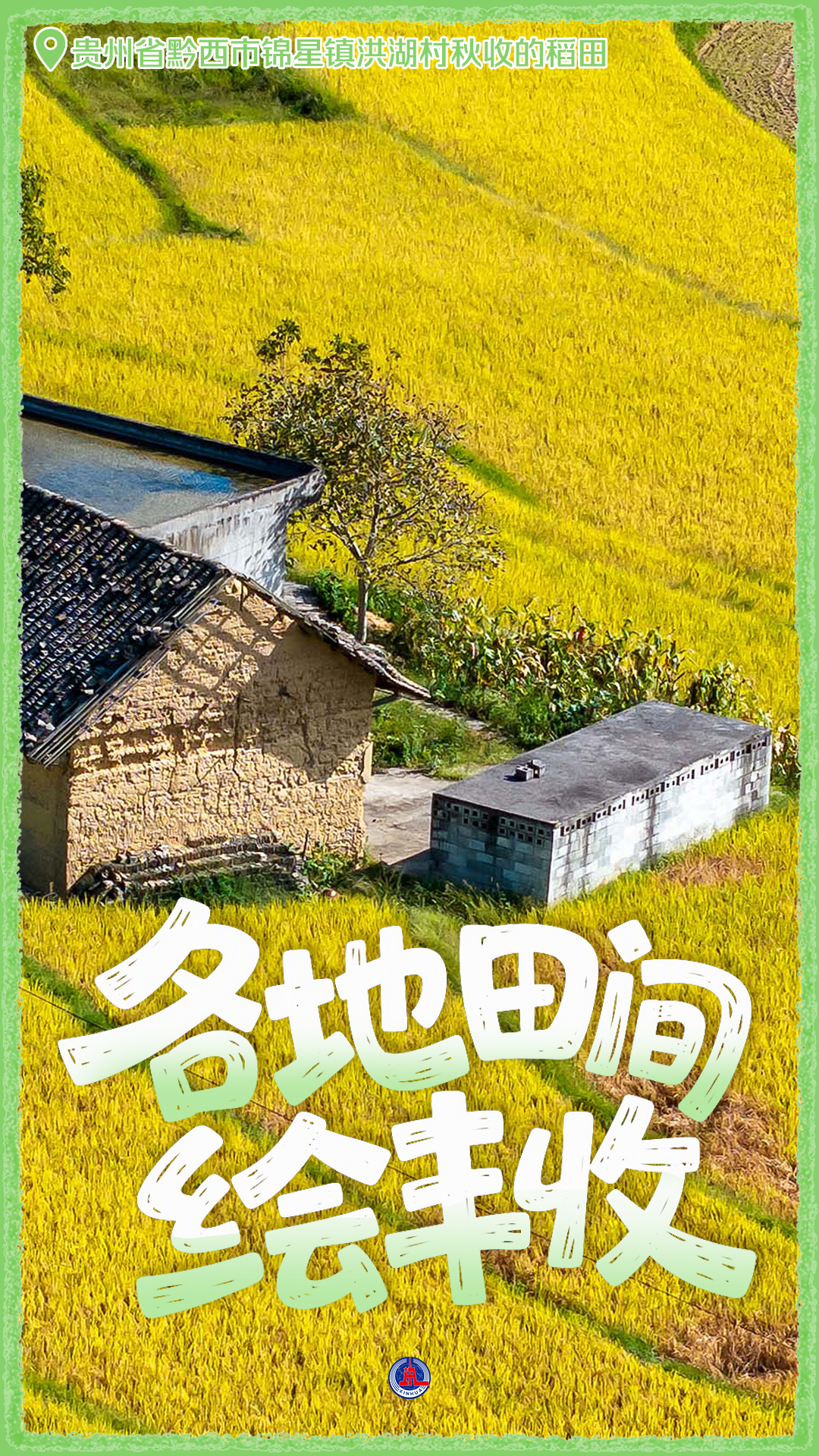 粮满田畴 耕耘未来——礼赞“十五五”开局丰收图景