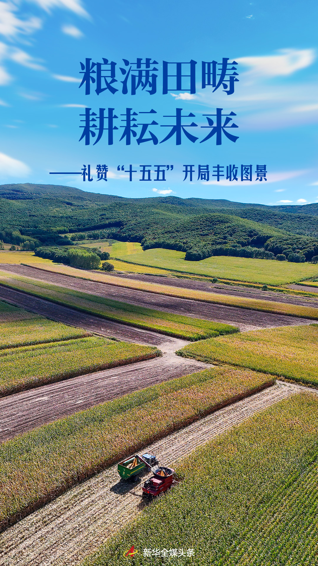 粮满田畴 耕耘未来——礼赞“十五五”开局丰收图景
