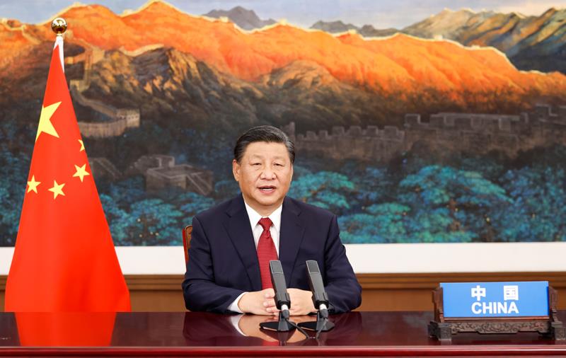 时政微观察丨书写共促发展、合作共赢新篇章