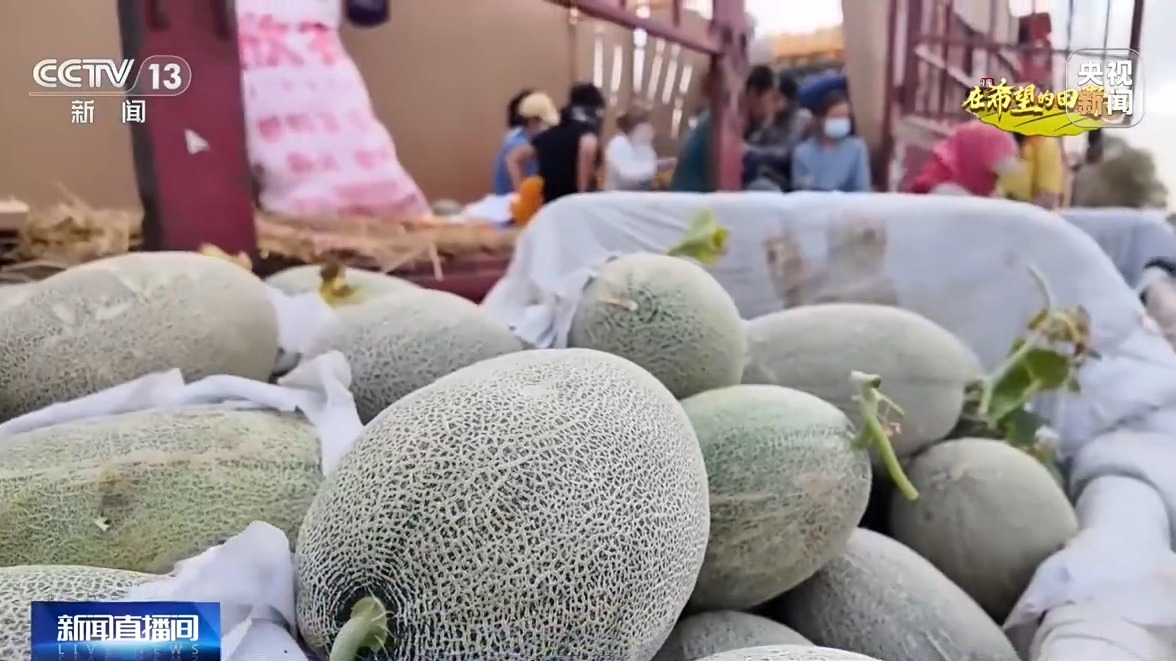 秋收好“丰”景 多地特色农产品迎来采收季