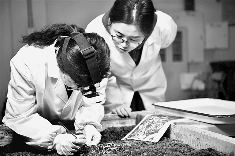 科技通识课,促青年科学文化素养提升 科技通识课,促青年科学文化素养提升