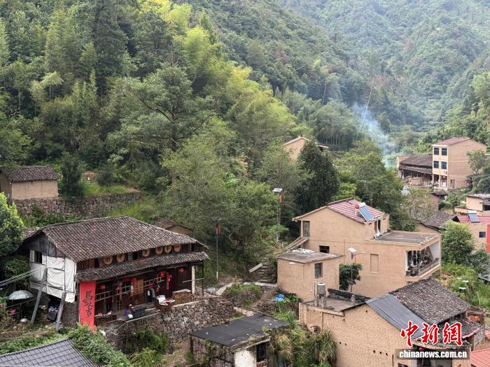 青年蹲点“浙中蜜蜂村”:大山里的“青春必修课”