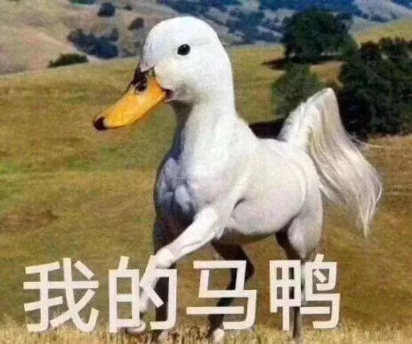 鸭子里面有虫 939315061231628820.jpg