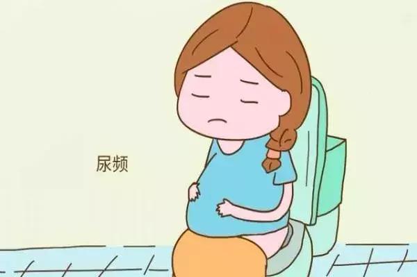 怎么样上厕所不频繁 2847138253863864044.jpg