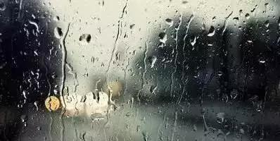 7257574516648004293.jpg