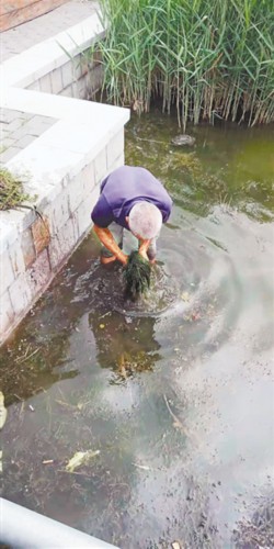 怎么养鱼池能净化水质 7831131133064398191.jpg