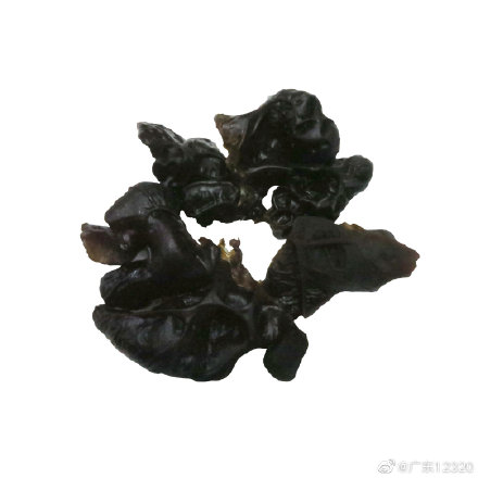木耳泡发多长时间就不能食用 1976636993275709337.jpg