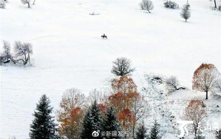 水墨雪陈瑞简谱_陈瑞水墨雪图片