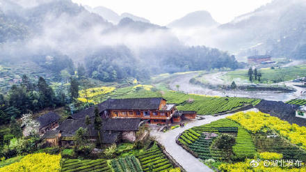 黄梅各乡镇人口_黄梅时节家家雨图片(3)