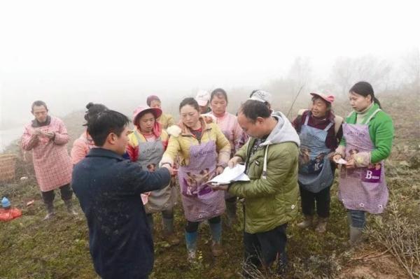 毕节贫困人口_贵州毕节贫困山区(2)