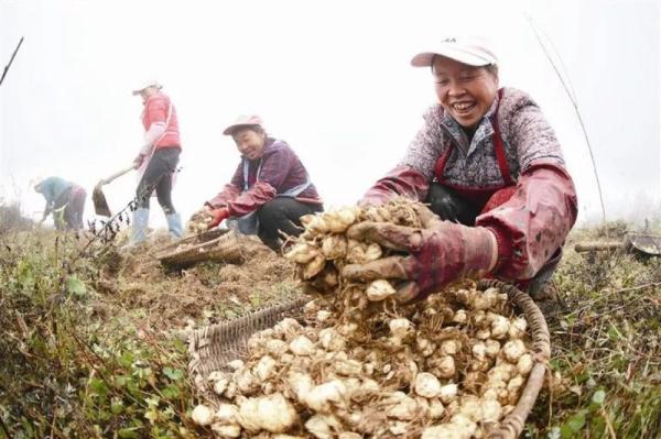 毕节贫困人口_毕节市人民政府门户网站 旅游资讯 中秋小长假毕节市共接待游(2)