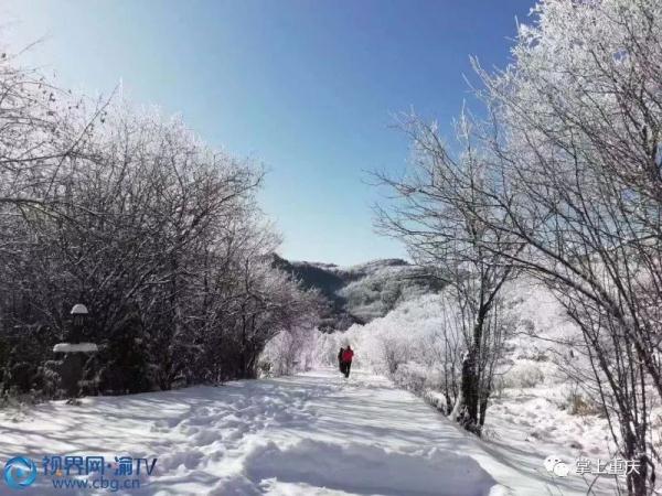 城口：黄安坝雪景宛如仙境