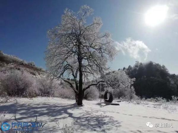 城口：黄安坝雪景宛如仙境