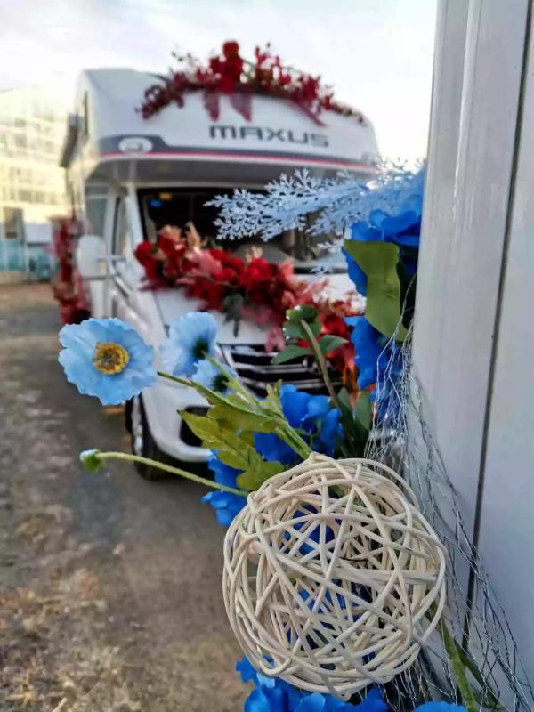 京城最大蝴蝶兰花展开幕！赶快去看一看吧！