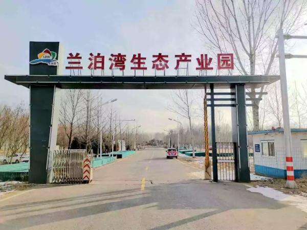 京城最大蝴蝶兰花展开幕！赶快去看一看吧！