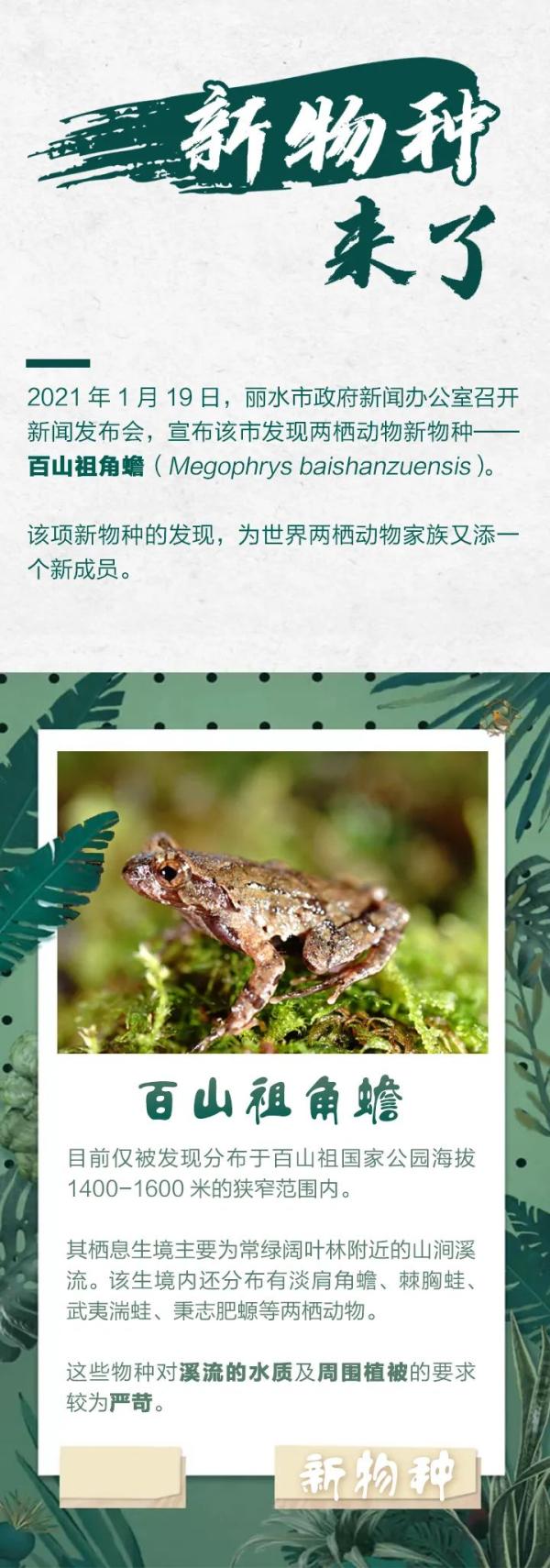 今天宣布：浙江发现全球新物种！