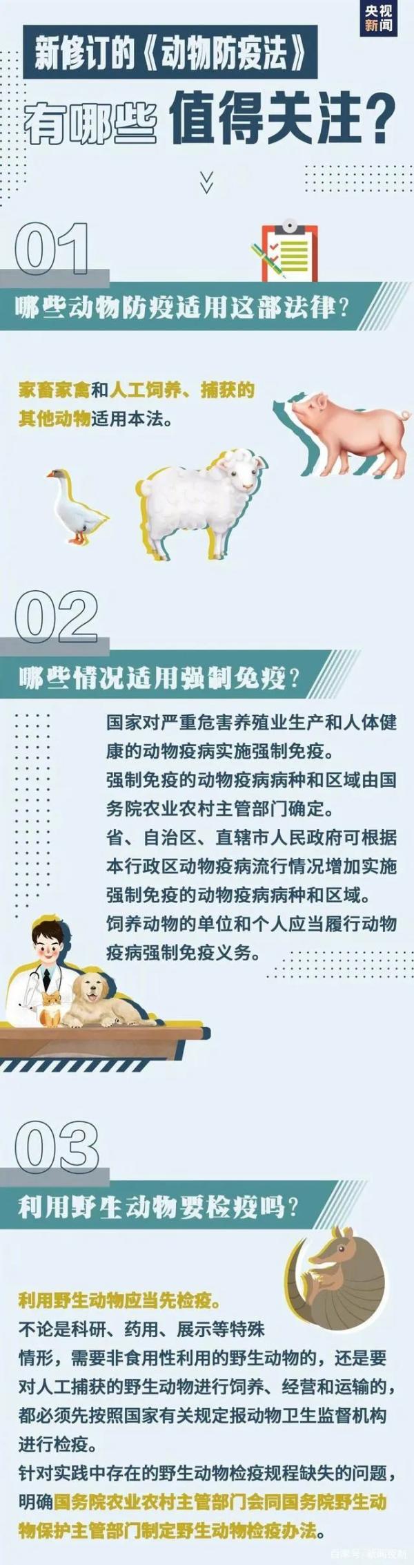 定了！遛狗栓绳入法！新修订《动物防疫法》出炉