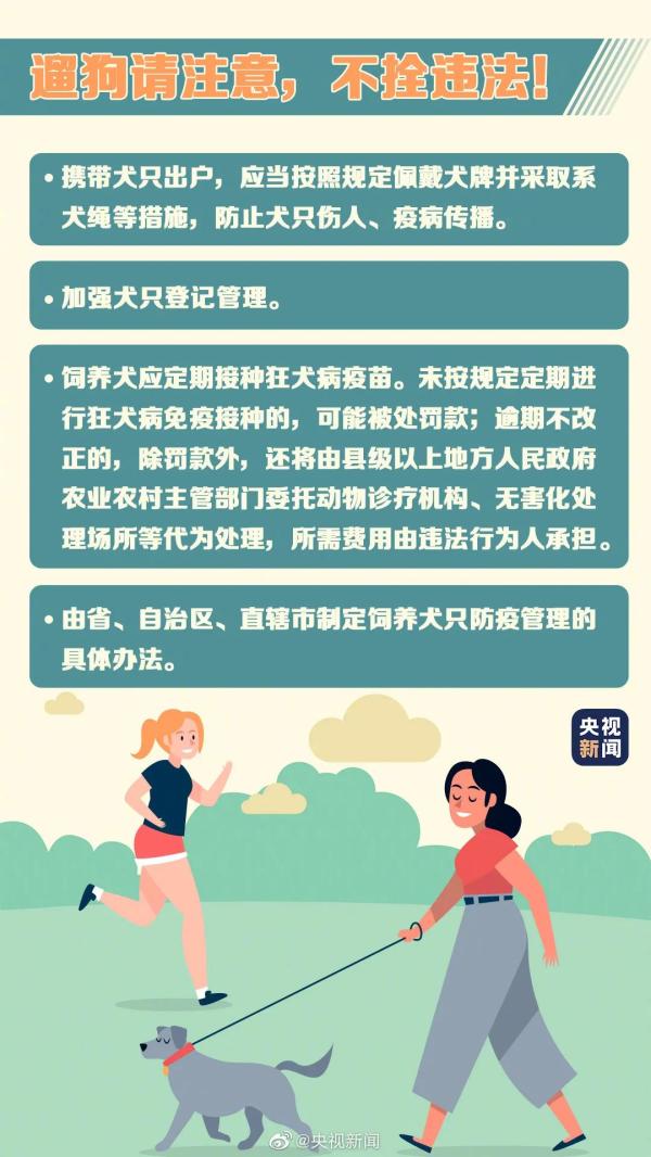 定了！遛狗栓绳入法！新修订《动物防疫法》出炉