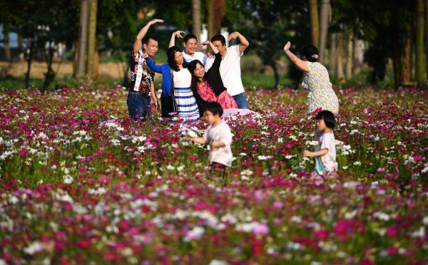 花海迎春 今日头条 手机光明网