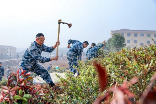 “植”得打卡！兵哥哥种树都这样硬核