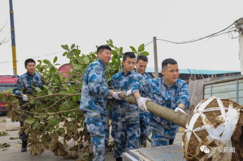 “植”得打卡！兵哥哥种树都这样硬核