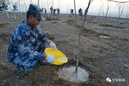 “植”得打卡！兵哥哥种树都这样硬核