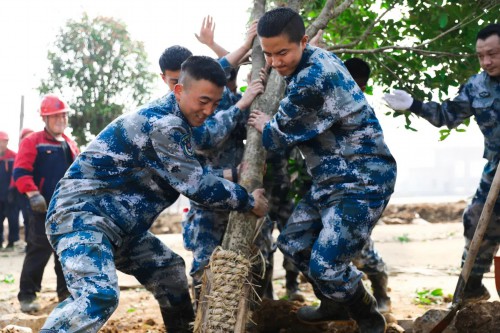 “植”得打卡！兵哥哥种树都这样硬核