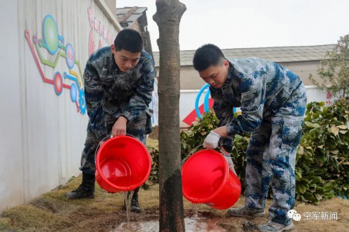 “植”得打卡！兵哥哥种树都这样硬核