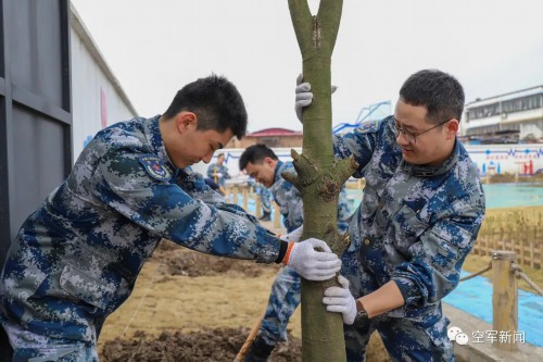 “植”得打卡！兵哥哥种树都这样硬核