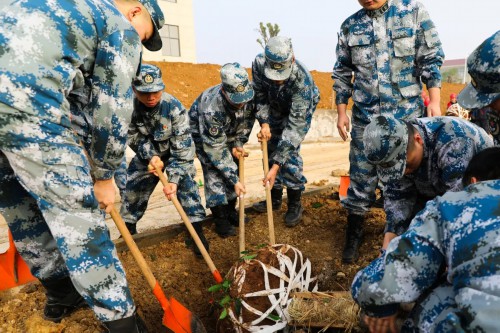 “植”得打卡！兵哥哥种树都这样硬核