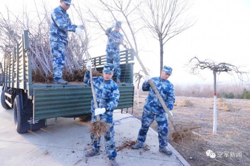 “植”得打卡！兵哥哥种树都这样硬核