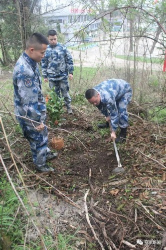 “植”得打卡！兵哥哥种树都这样硬核