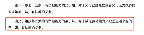 电影《我的姐姐》引热议，父母物化姐姐必须扶养幼弟？讼师解读