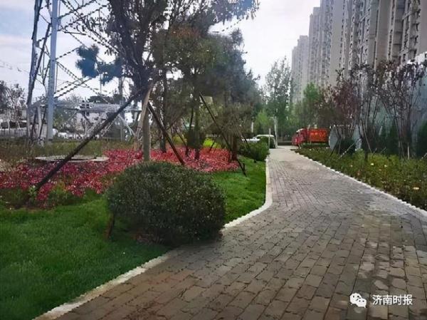 6686体育APP济南市区又有5个公园建成开放(图6)