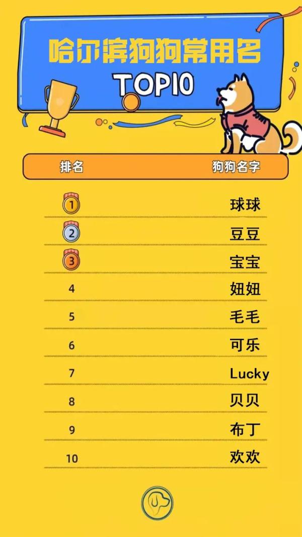 宠物狗名字大全萌萌哒_宠物狗名字大全_宠物狗名字