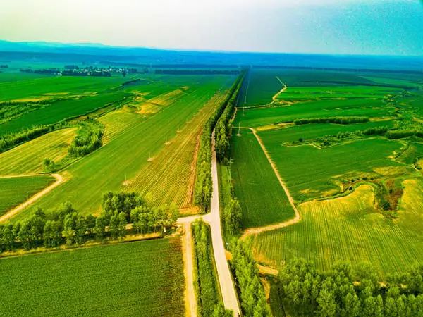 “十大最美农村路”公布！吉林省这条公路上榜！