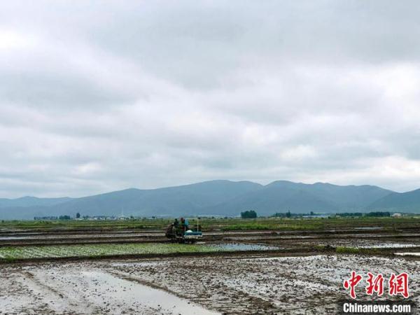 中国科研团队致力解决“隐性饥饿” 功能农作物已落地吉林