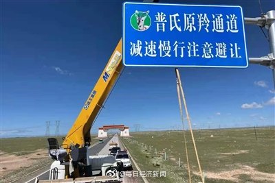 青海建成中国首个普氏原羚保护通道