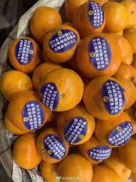 海南警方推出反诈水果