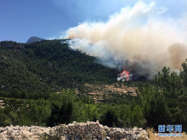 土耳其：林火持续