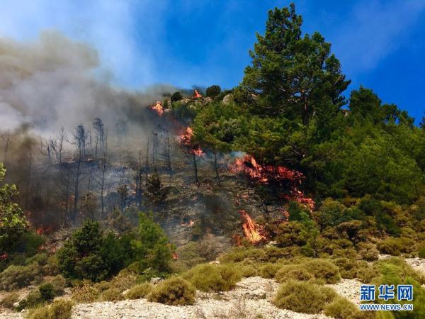 土耳其：林火持续