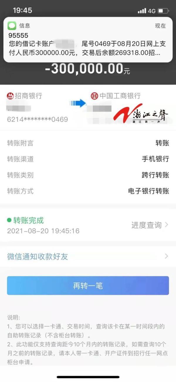 30万的转账记录图片图片