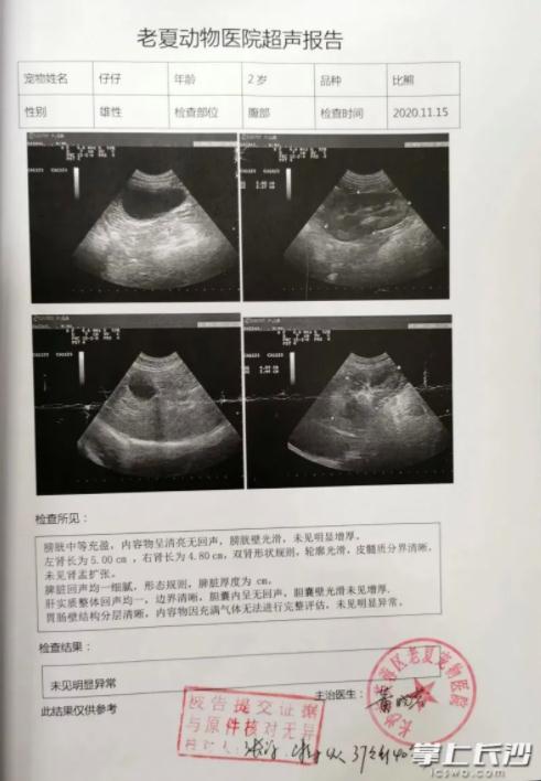 胃病报告单图片伪造图片